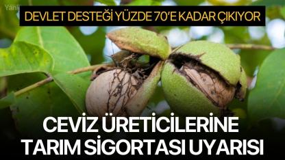 Ceviz Üreticilerine Tarım Sigortası Uyarısı