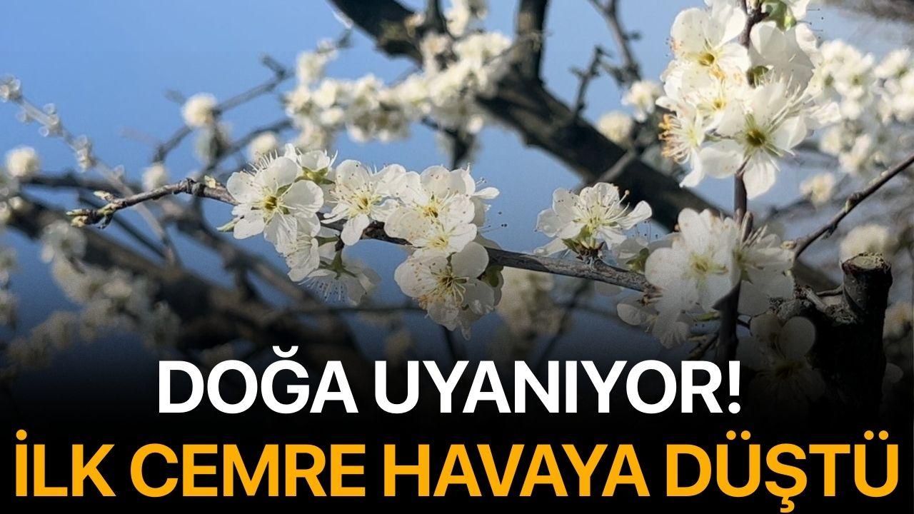 Doğa uyanıyor! İlk Cemre Havaya Düştü