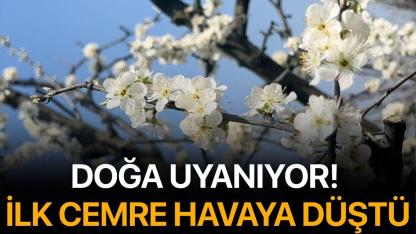 Doğa uyanıyor! İlk Cemre Havaya Düştü