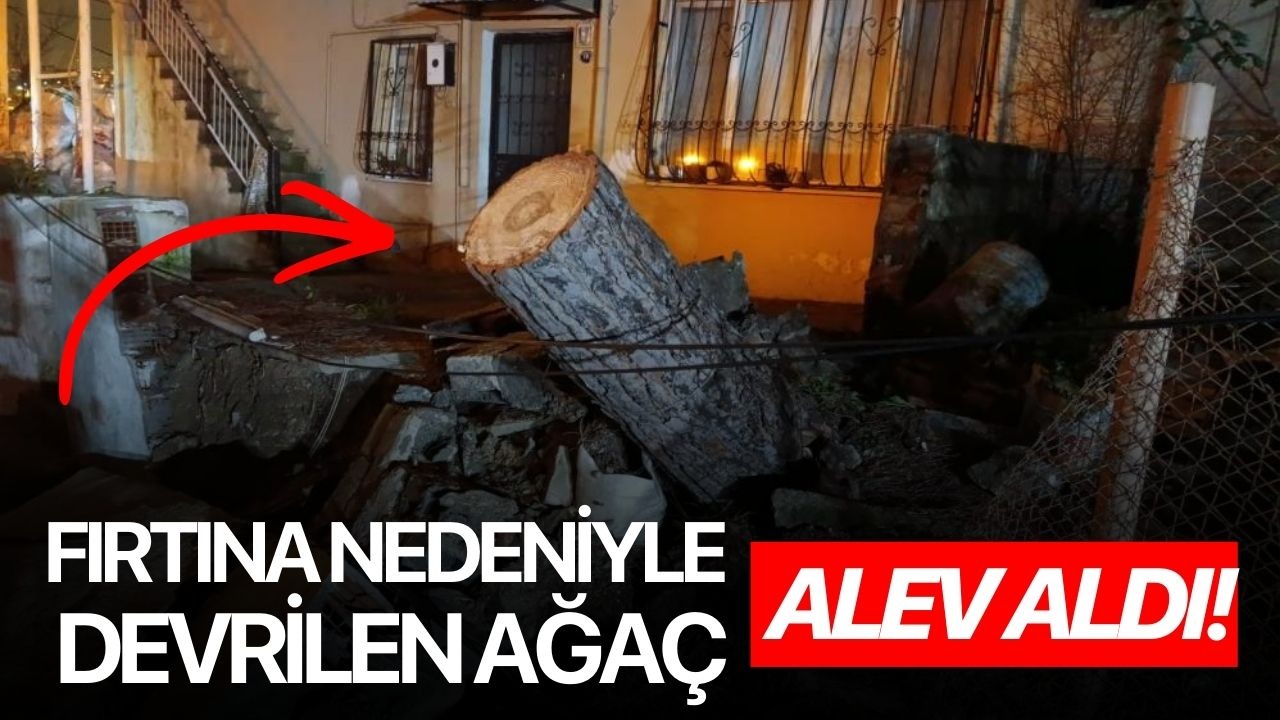Fırtına nedeniyle devrilen ağaç alev aldı!
