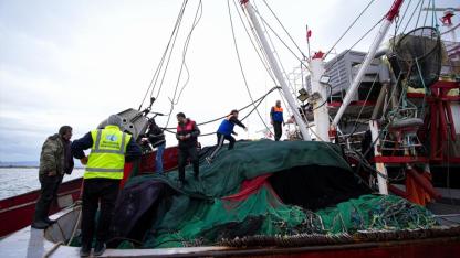 Fırtına Vurdu, Egeli Balıkçılar Nisan Öncesi Bereket Umuyor
