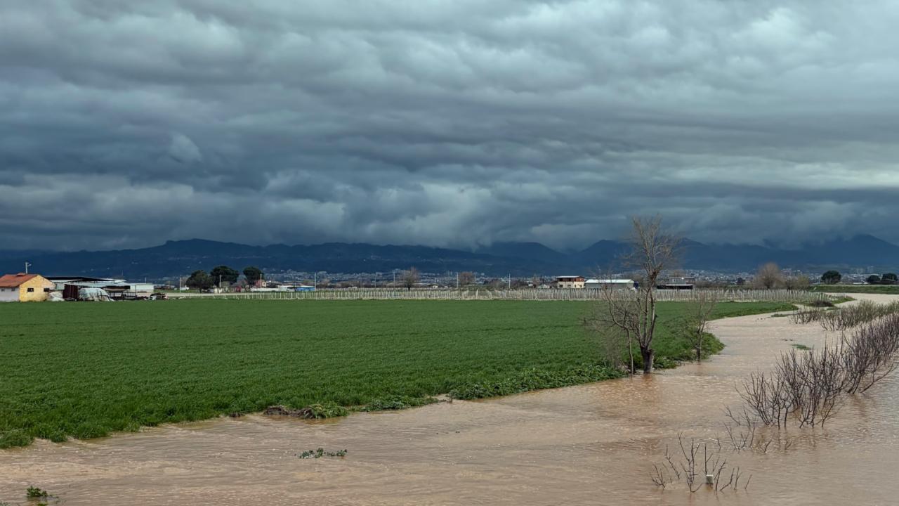 Gediz Nehri Taştı, Tarım Arazileri Sular Altında: Sular yükselmeye devam ediyor