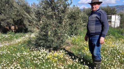 İlçede şubat ayında yalancı bahar yaşanıyor