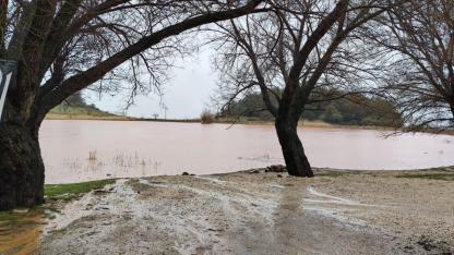 Manisa'da o göl yeniden canlandı!