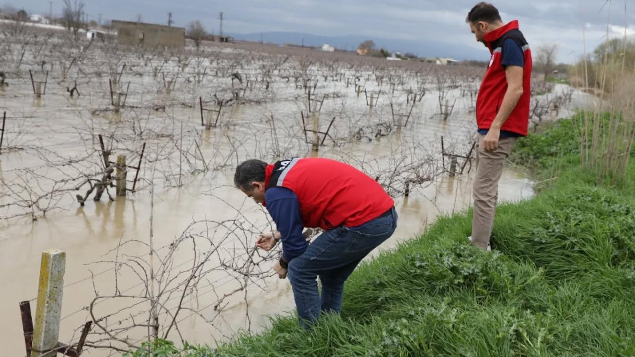 Manisa’da Selin İzleri İnceleniyor: Tarım Arazilerinde Hasar Tespiti Sürüyor