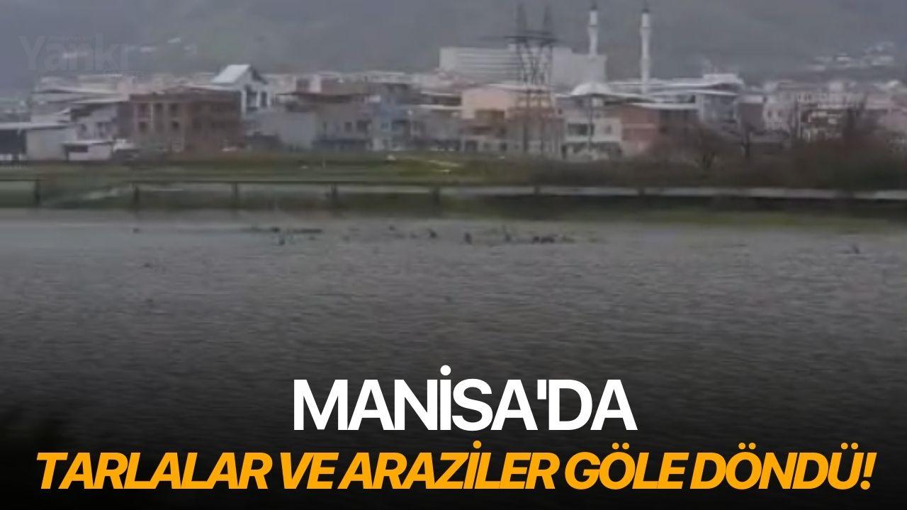 Manisa'da tarlalar ve araziler göle döndü!