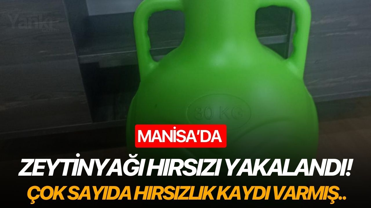 Manisa’da zeytinyağı hırsızı yakalandı!
