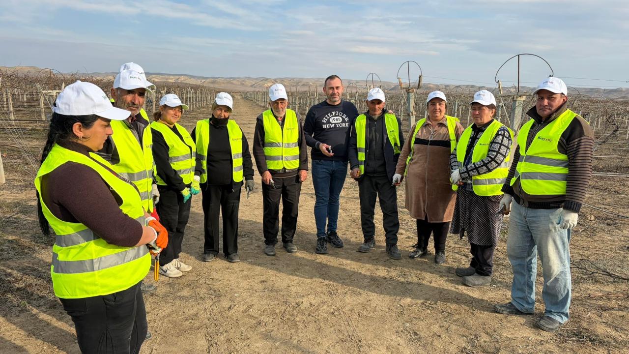 Manisalı Ziraat Mühendisi Azerbaycan’da Üzüm Bağlarına Eğitim Verdi