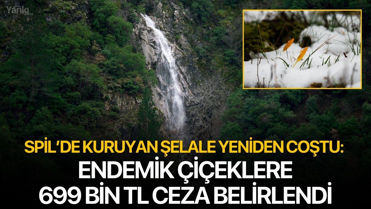 Spil’de Kuruyan Şelale Yeniden Coştu: Endemik Çiçeklere 699 Bin TL Ceza Belirlendi
