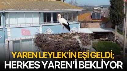 Yaren Leylek’in eşi geldi; herkes Yaren’i bekliyor