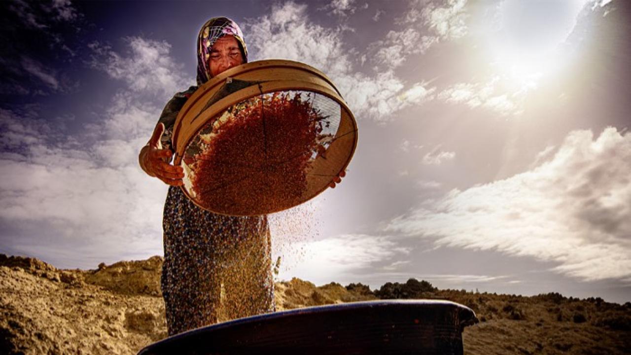 İlçede "Hayatın İçinden Kadın Fotoğrafları" sanal sergisi açıldı