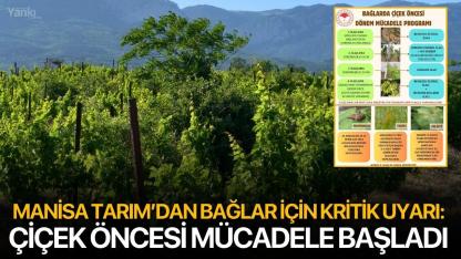 Manisa Tarım’dan Bağlar İçin Kritik Uyarı: Çiçek Öncesi Mücadele Başladı