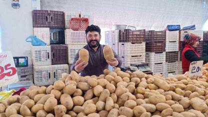 Manisa'da Dev Patates Şaşkınlığı: Bir Tanesi 4 Kişiye Yetiyor