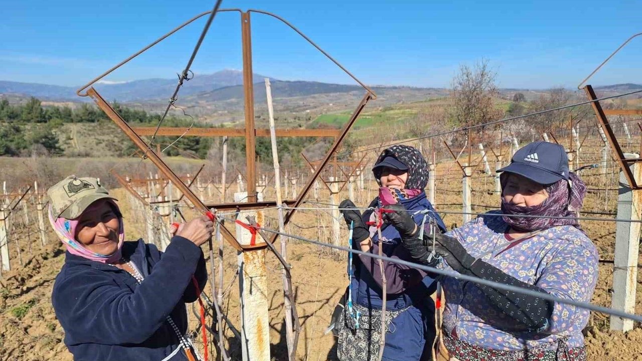 Manisalı kadınlar 8 Mart’ı bağlarda çalışarak kutladı