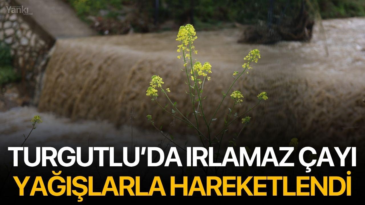 Turgutlu’da Irlamaz Çayı Yağışlarla Hareketlendi