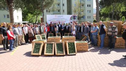 4 ilçede üreticilere 672 bin 88 fide dağıtılacak! Bütçenin %75'ini Bakanlık karşılıyor