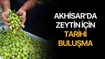 Akhisar’da zeytin için tarihi buluşma