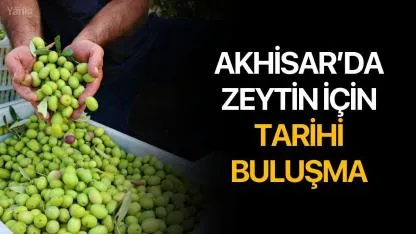 Akhisar’da zeytin için tarihi buluşma
