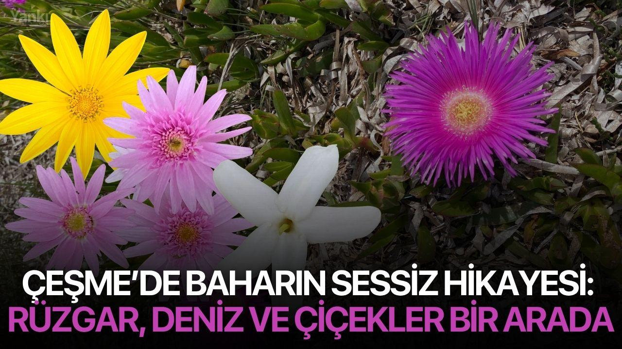 Çeşme’de Baharın Sessiz Hikayesi: Rüzgar, Deniz ve Çiçekler Bir Arada
