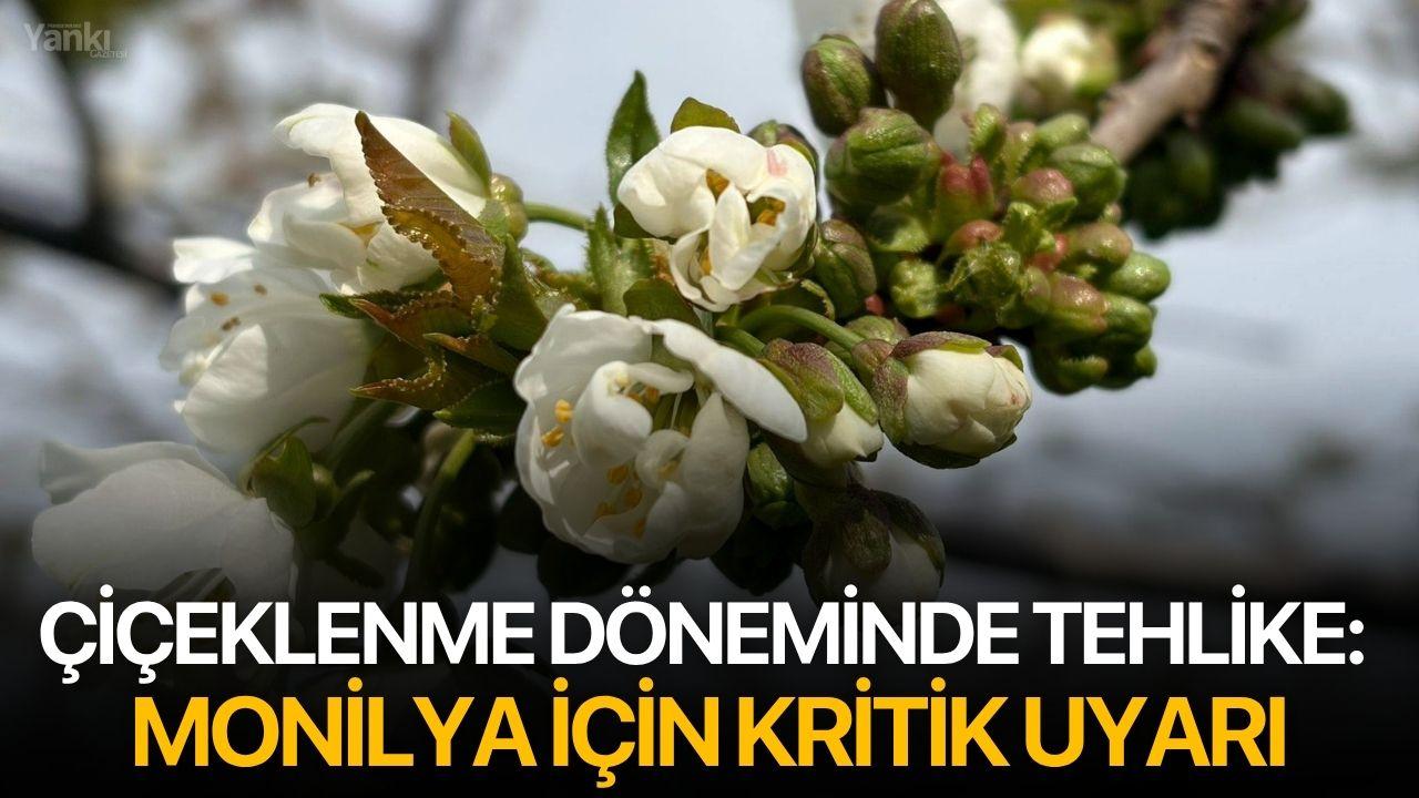 Çiçeklenme Döneminde Tehlike: Monilya İçin Kritik Uyarı