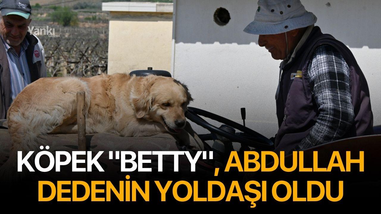 Köpek "Betty", Abdullah dedenin yoldaşı oldu