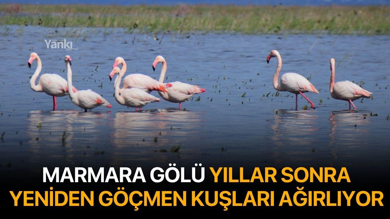 Marmara Gölü yıllar sonra yeniden göçmen kuşları ağırlıyor