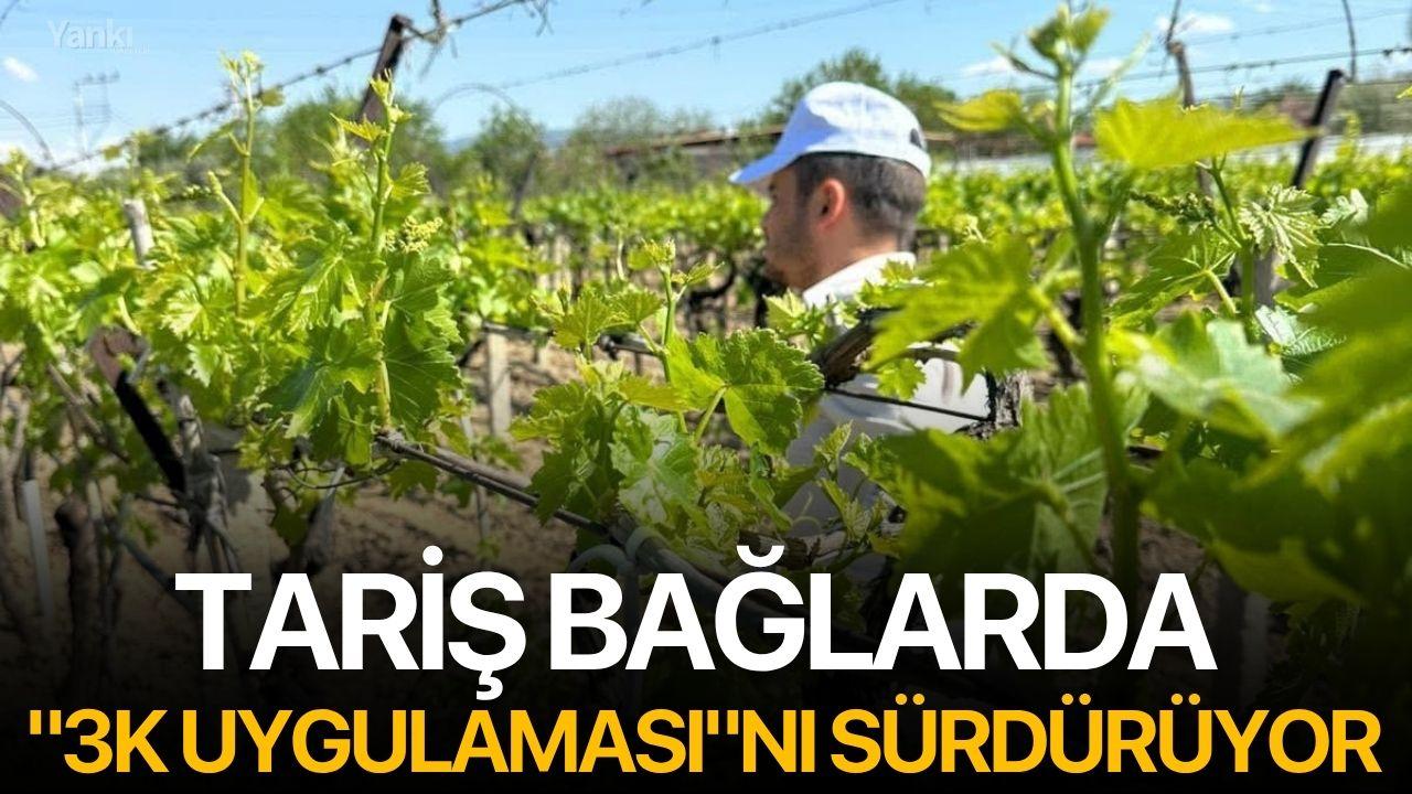 TARİŞ Bağlarda "3K Uygulaması"nı Sürdürüyor
