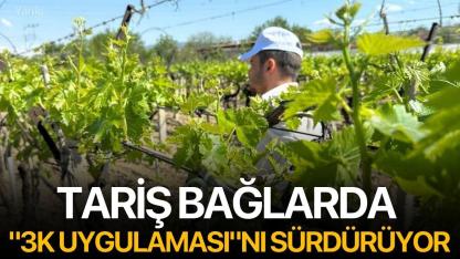 TARİŞ Bağlarda "3K Uygulaması"nı Sürdürüyor