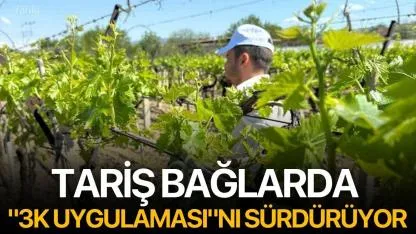 TARİŞ Bağlarda "3K Uygulaması"nı Sürdürüyor