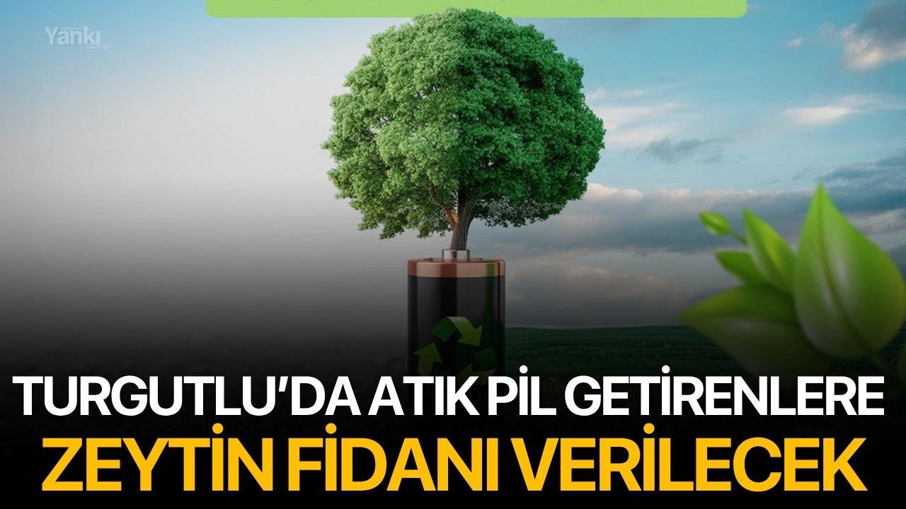 Turgutlu’da Atık Pil Getirenlere Zeytin Fidanı Verilecek