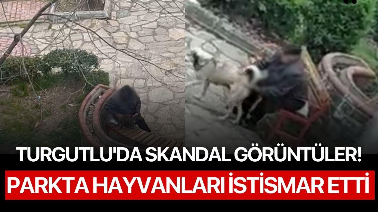 Turgutlu'da skandal görüntüler! Parkta hayvanları istismar etti