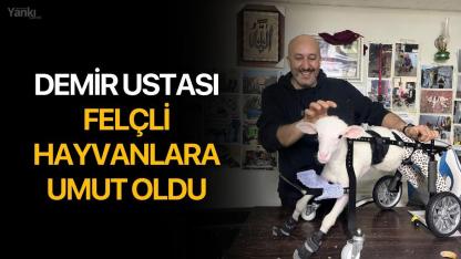 Demir Ustası Felçli Hayvanlara Umut Oldu
