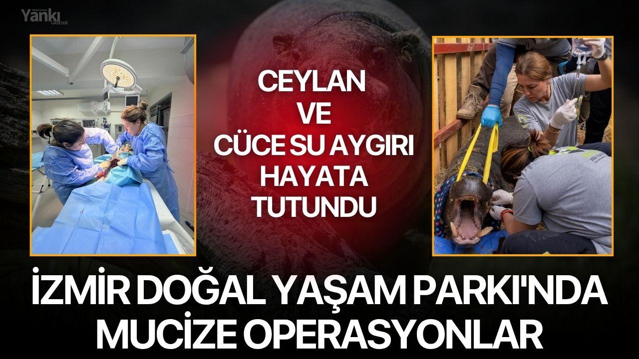 İzmir Doğal Yaşam Parkı'nda Mucize Operasyonlar