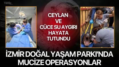 İzmir Doğal Yaşam Parkı'nda Mucize Operasyonlar