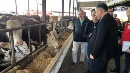 Manisa Kurban Bayramına hazırlanıyor