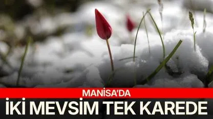 Manisa'da iki mevsim tek karede
