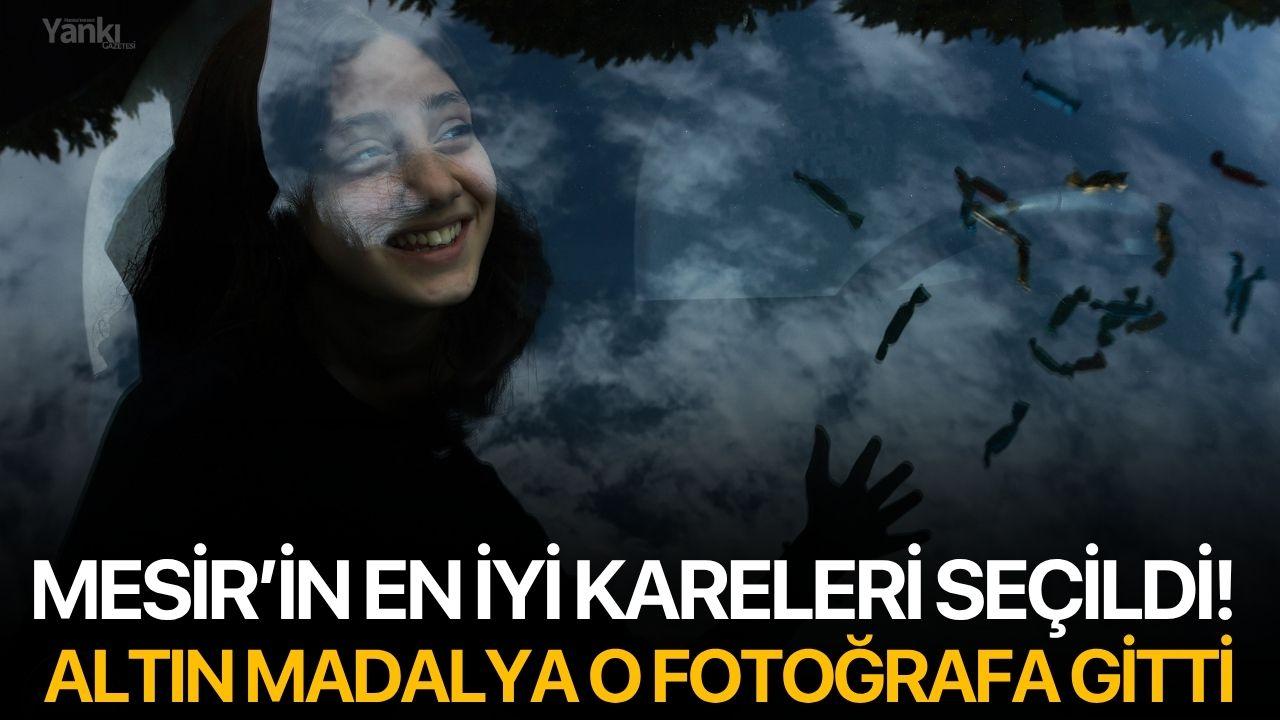 Mesir’in En İyi Kareleri Seçildi! Altın Madalya O Fotoğrafa Gitti