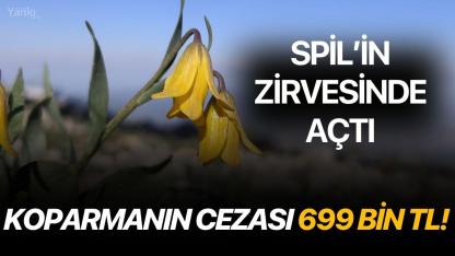 Spil’in Zirvesinde Açtı: Koparmanın Cezası 699 Bin TL!