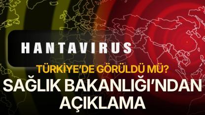 Türkiye'de görüldü mü? Sağlık  Bakanlığı'ndan 'Hantavirüs' açıklaması
