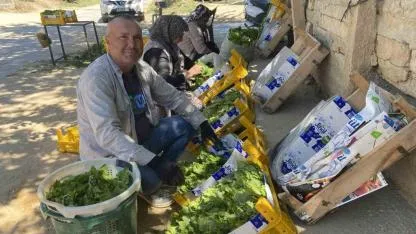 Üzümden önce yaprağı kazandırıyor
