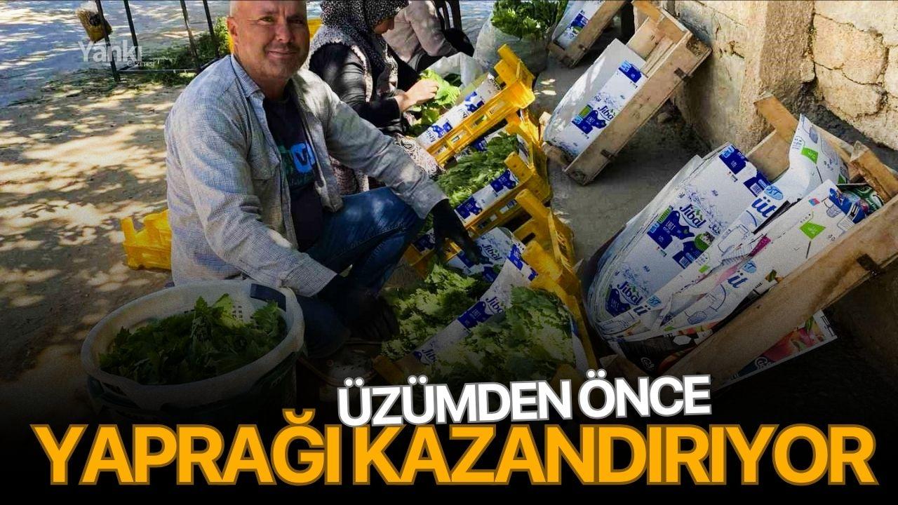 Üzümden önce yaprağı kazandırıyor