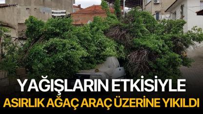 Yağışların Etkisiyle, Asırlık Ağaç Araç Üzerine Yıkıldı