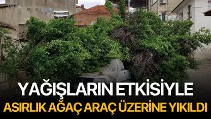 Yağışların Etkisiyle, Asırlık Ağaç Araç Üzerine Yıkıldı