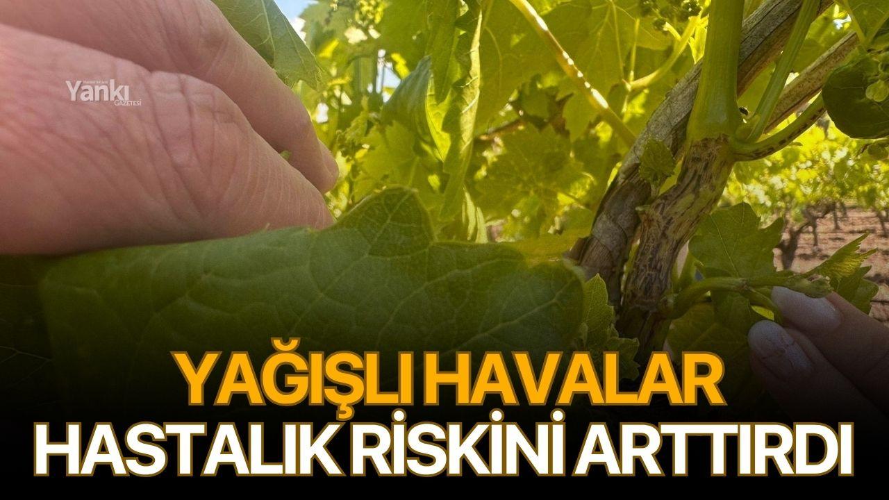Yağışlı havalar hastalık riskini arttırdı