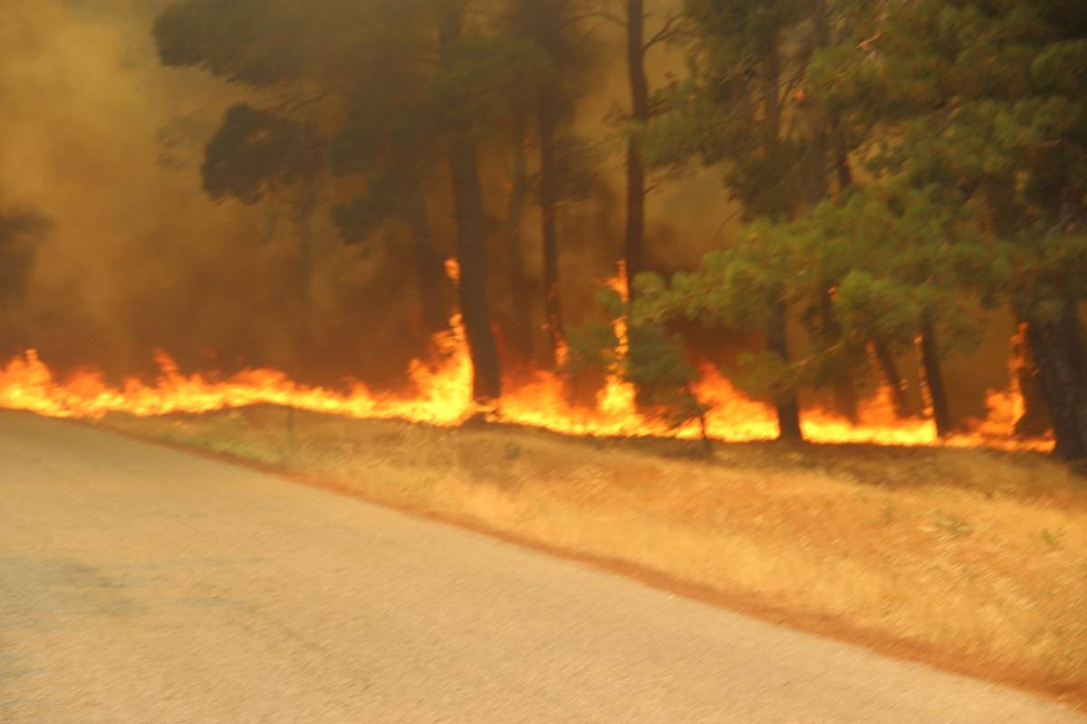 Çanakkale’de Büyük Orman Yangını: Havalimanı Kapandı, Hastane ve Köyler Tahliye Edildi
