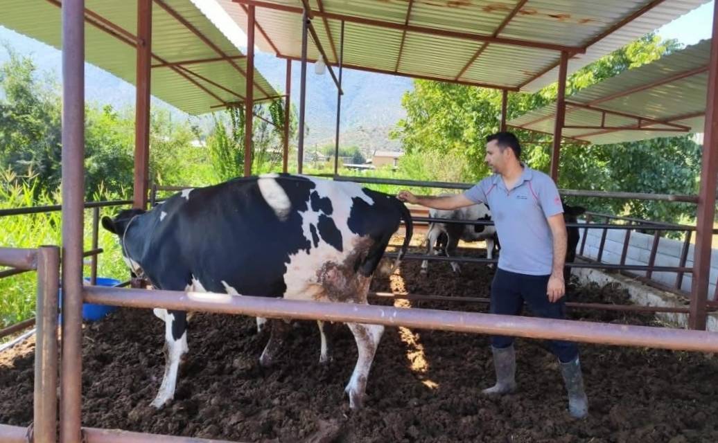 Korkulan oldu! 11 mahalle karantinaya alındı