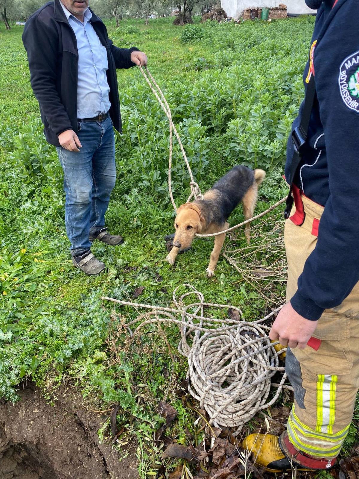 5 metrelik kuyuya düşen köpeği itfaiye kurtardı