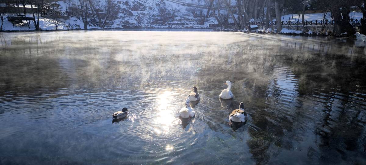 O ilimizde soğuktan suyla ilgili her şey dondu: Bir tek o göl donmadı!