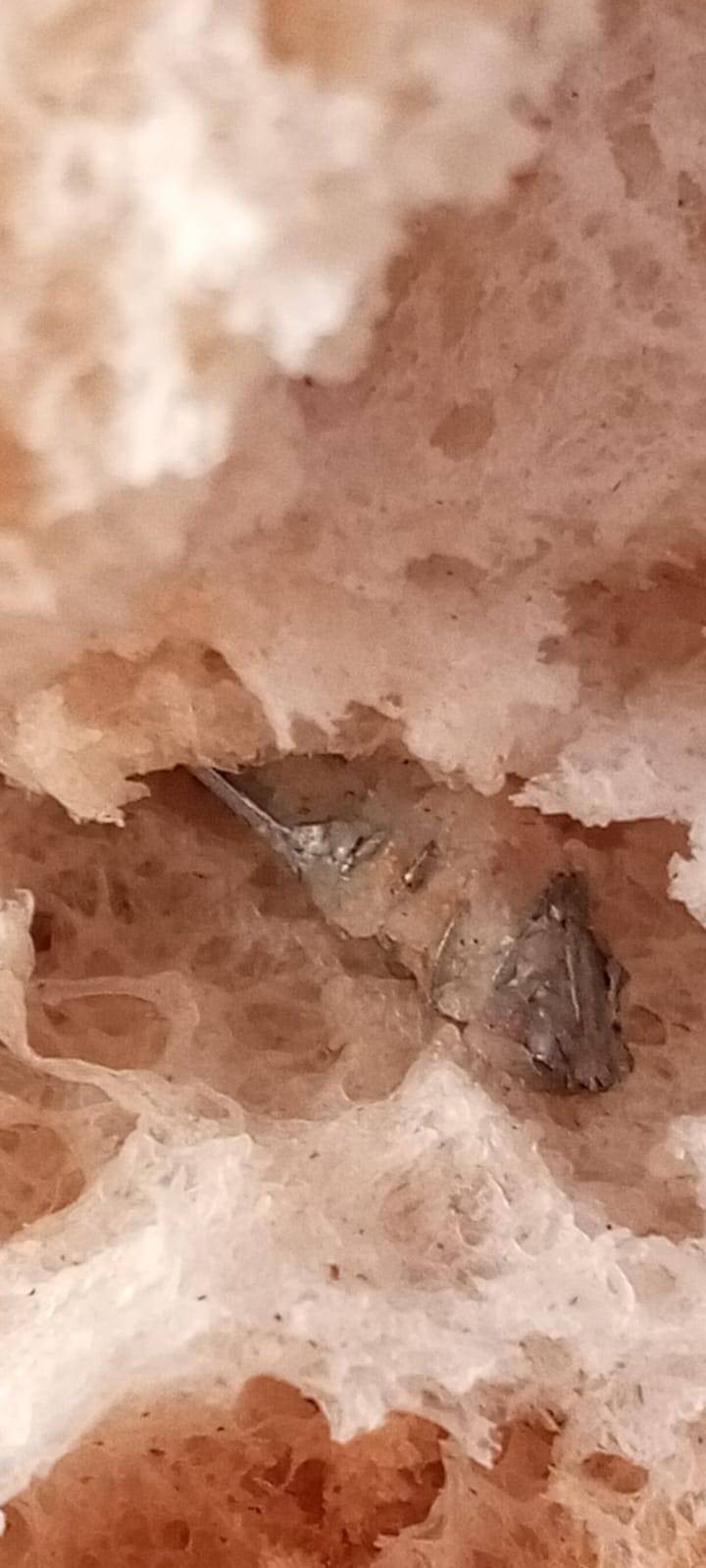 İzmir’de Şok Eden Olay: Fırından Alınan Ekmeğin İçinden Vida Çıktı