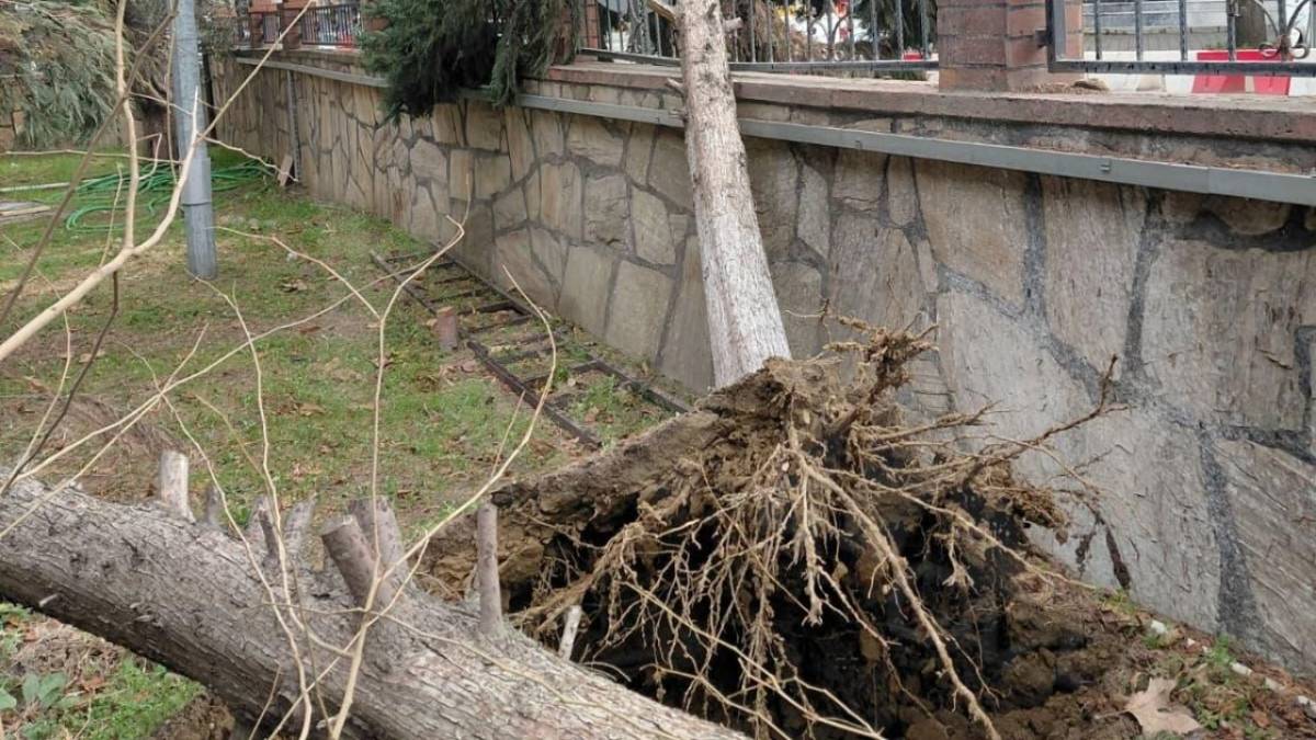 Turgutlu'da fırtına etkisini gösteriyor: Ağaçlar devrildi ve kırıldı!